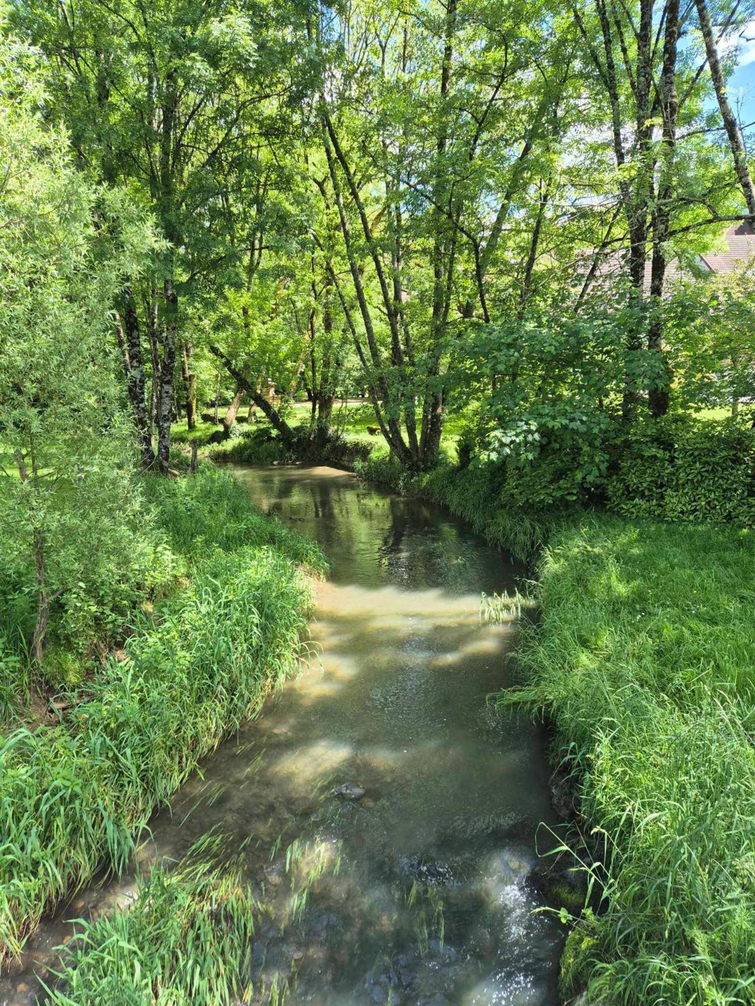 Au Lavoir Du Serein "L'Eventail" Saint-Germain-les-Arlay Экстерьер фото